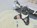お仕置きされるエナメルメイド・キキ vol.1