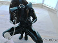 自慢のペットのエナメル犬（♀）をご紹介します。