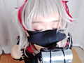 嵌められた女怪盗 後編