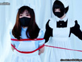 ドロドロすぎるメイドの世界