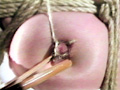 乳虐8