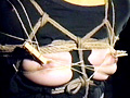 乳虐13