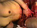 女腹切り作品集1 女腹切り・散華
