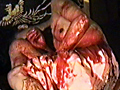女腹切り作品集1 女腹切り・散華