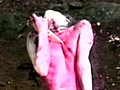 女腹切り作品集5 生贄