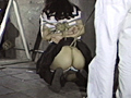 股縄猿轡・少女蝋涙責め
