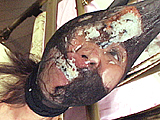 ママは欲求不満・狂気のオペラ