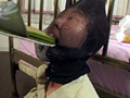 ママは欲求不満・狂気のオペラ
