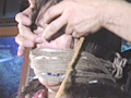 徹底顔面嬲り3