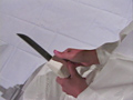 女腹切り作品集8 乃璃子さまの肖像画