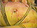 蝋涙責め縄肌 春原悠理
