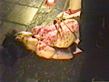 蝋涙責め縄肌 春原悠理