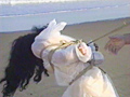 砂の女・○問海岸 早乙女宏美
