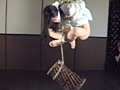人妻縛り・海老責め官能縄