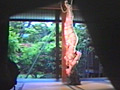 美少女悲惨夢地獄・菱縄逆さ吊り