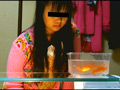 黒髪少女が金魚を素手で握りつぶしナマ足で踏み潰す！