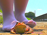 土で汚れたストッキング＆ナマ足でヒキガエルを踏み潰す