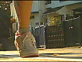 女子大生のヒールやスニーカーがイモムシを踏み潰す！