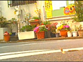 パンプスのつま先やカカトがイモムシを踏み潰す！