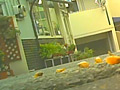カタツムリとイモムシが2匹同時に踏み潰される！