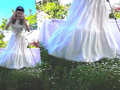「花のじゅうたん」を踏んで美女がダンス！～涼子様～