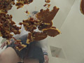 大量のどら焼きを楽しそうに踏む受験生のお嬢様