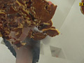大量のどら焼きを楽しそうに踏む受験生のお嬢様