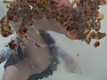 大量のどら焼きを楽しそうに踏む受験生のお嬢様