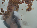 大量のどら焼きを楽しそうに踏む受験生のお嬢様