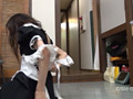 激撮！スカートめくり＆ぬがし VOL.8