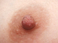 乳首＆乳輪5 パーツ・コレクションシリーズ