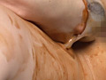 腐敗に惑い魚類と犠牲に抜殻