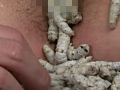 桑蚕に寂滅と○淫に淡い膣窪