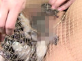 蛙に泥膣と嗜虐が螺旋に葬饗