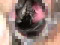 蛙に泥膣と嗜虐が螺旋に葬饗