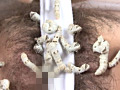 蚕桑に纏い雌濁が蚯蚓に螺混