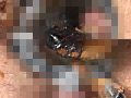 蜚蠊に難い雌襞と○蝕に斑液