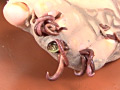 蠕蟲に脆い触媒と滲○に雌獣