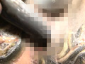 泥鰌に奮い淫触と糞膜に潅沃