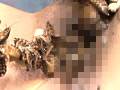 蜚蠊に嗤い蚕桑と膣緩に潰瘍