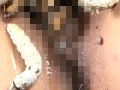 蜚蠊に嗤い蚕桑と膣緩に潰瘍