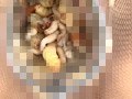 蛆蟲に嗅い○淫と泥獣に駭然