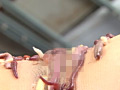 蛆蟲に嗅い○淫と泥獣に駭然
