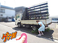 Hとお小遣いに興味のある看護師さん大集合