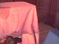 大便法典2