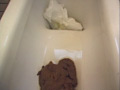 大便法典4