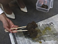 大便白書4