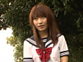 ヒロイン陥落Vol.15 魔法美少女戦士フォンテーヌ