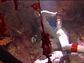 ヒロイン消化触手地獄 シャイナーメルト編