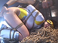 スーパーヒロインSM○問地獄